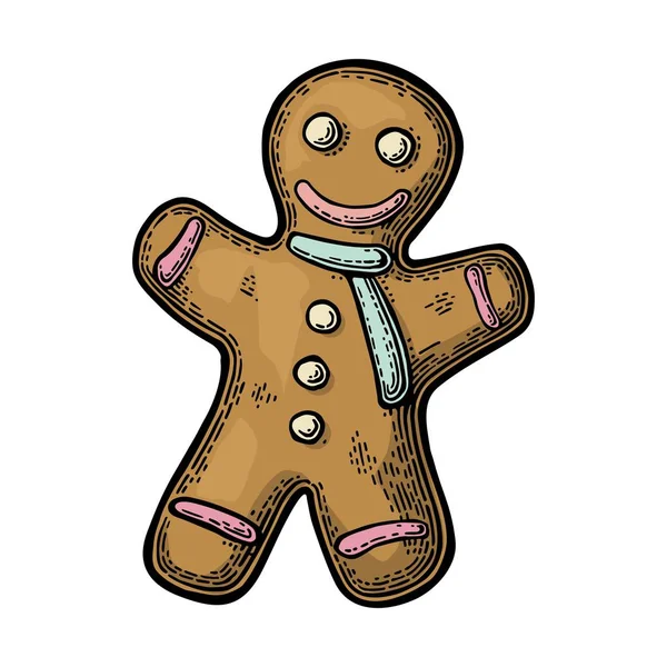 Gingerbread man Vector vintage color engraving illustration. — Stock Vector