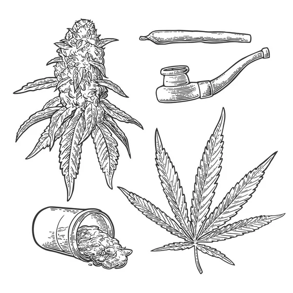 Brotes de marihuana, hojas, botellas, cigarrillos y pipa para fumar . — Vector de stock