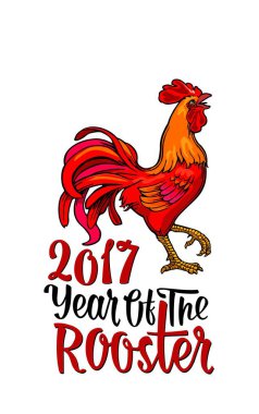 Kırmızı ateşli horoz. Vintage siyah vektör oyma çizim