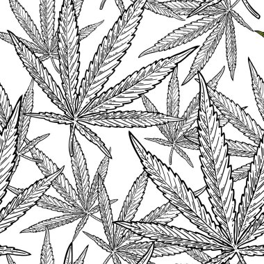 Marihuana yaprağıyla kusursuz desen. Klasik siyah vektör gravür çizimi