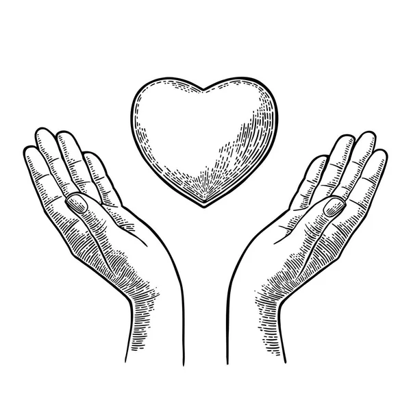 Coração em palmas humanas femininas abertas. Vector gravura vintage preto — Vetor de Stock