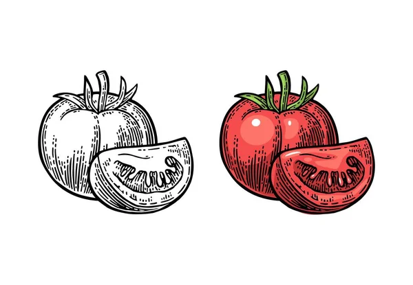 Całe pomidory i kromka na białym tle. — Wektor stockowy