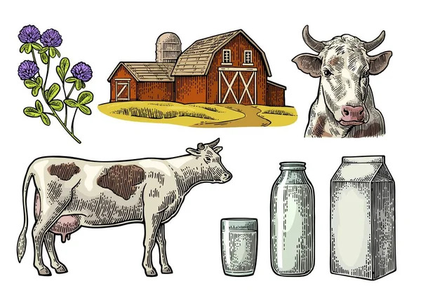 Establezca la granja Milk. Cabeza de vaca, trébol, caja de cartón, vidrio y botella . — Archivo Imágenes Vectoriales