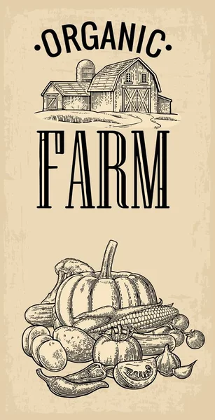 Plakat mit Bauernhof und Gemüseanbau. Gurken, Kürbis, Mais, Paprika, Brokkoli, Kartoffeln und Tomaten. — Stockvektor