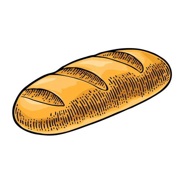 Хлібний хліб. Вектор чорна рука намальована старовинна гравюра — стоковий вектор