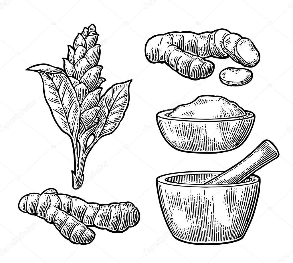 Turmeric root, powder and flower with pestle and mortar.