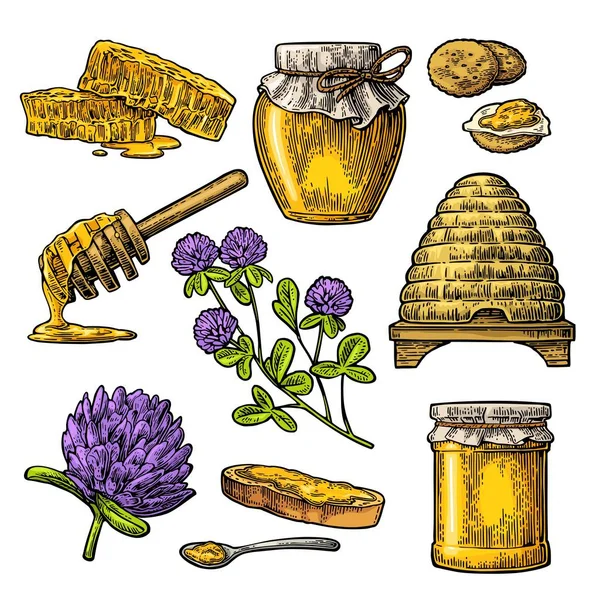 Honey set. Jars of honey, bee, hive, clover, honeycomb. Vector vintage engraved illustration — Stock Vector