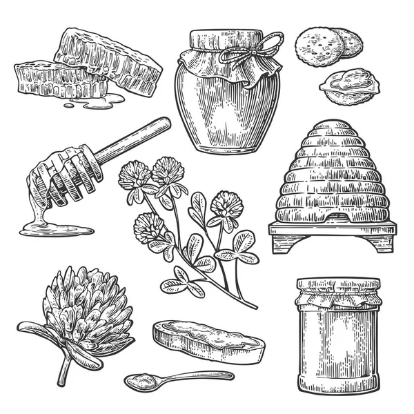 Honey set. Jars of honey, bee, hive, clover, spoon, honeycomb. — Stock Illustration Honey set. Jars of honey, bee, hive, clover, spoon, honeycomb. Royalty Free Stock Vectors
