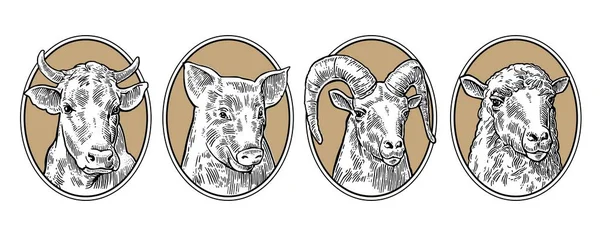 Set di icone animali da fattoria. Teste di maiale, di vacca, di pecora e di capra — Vettoriale Stock