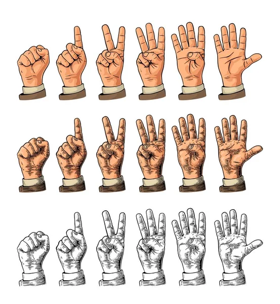 Conjunto de gestos de mãos contando de zero a cinco. Mão masculina sinal. —  Vetores de Stock