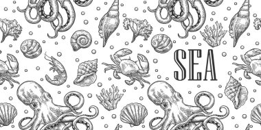 Seamless pattern sea shell, coral, crab, octopus and shrimp. Vector engraving vintage illustrations. Isolated on white background clipart