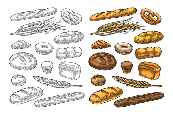 Ställ in brödet. Vektor färg vintage gravyr — Stock vektor