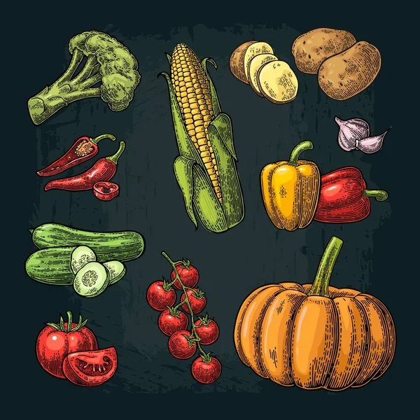 Mengatur sayuran. Timun, bawang putih, Jagung, Pepper, Brokoli, Kentang dan Tomat . - Stok Vektor
