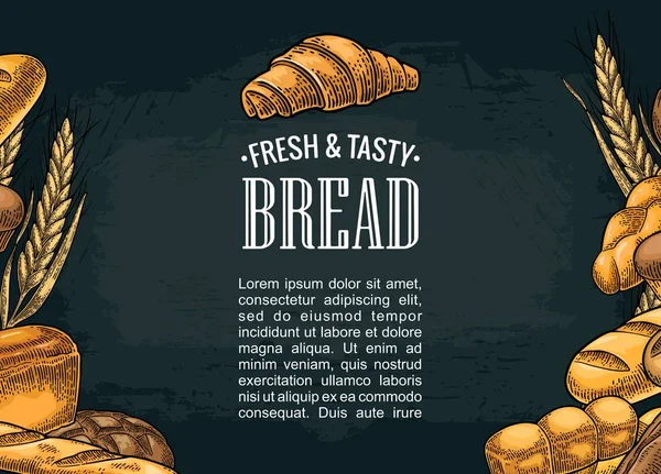 Čtvercový plakát s chlebem. Vektorové ilustrace vintage gravírování barvou — Stockový vektor