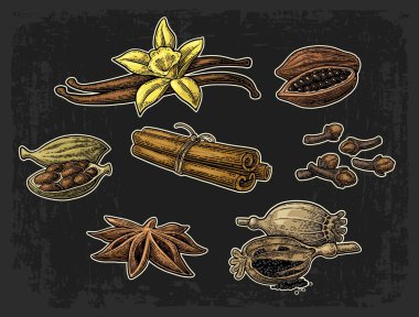 Baharat ayarlayın. Anason, tarçın, kakao, vanilya, haşhaş