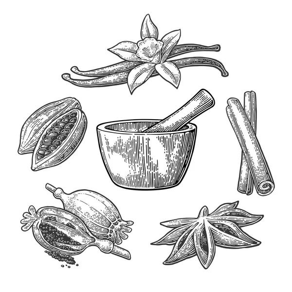 Set di spezie, malta e pesto.. Vettore d'epoca inciso illustrazione . — Vettoriale Stock