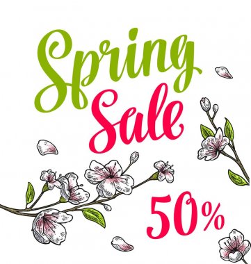 Sakura çiçeği. Kiraz dal çiçeklerle, bud. Bahar Satılık yazı.