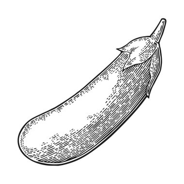 Patlıcan. Vektör siyah vintage oyulmuş illüstrasyon izole beyaz arka plan üzerinde