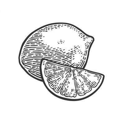 Kireç bütün ve dilim. Vintage vektör oyma çizim