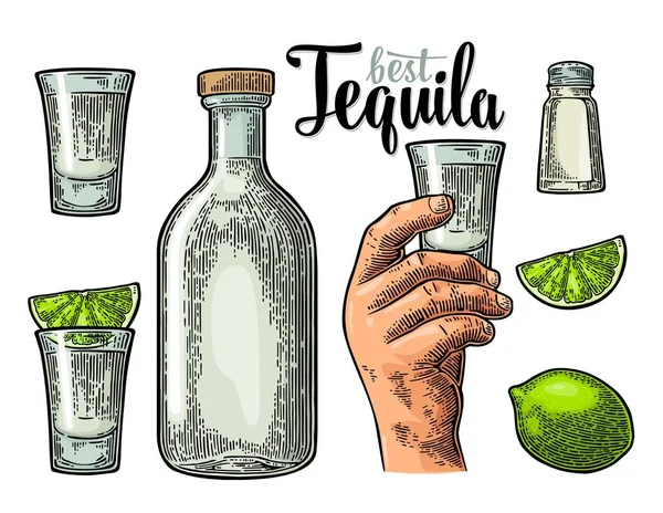 Set Tequila. Hand halten Glas, Flasche, Salz, Kalk ganz und Scheiben. — Stockvektor