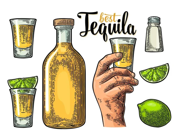 Ställ in tequila. Hand hålla glas, flaska, salt, lime hela och skiva. — Stock vektor