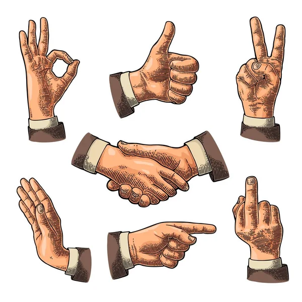 Αρσενική χέρι σημάδι. Όπως, χειραψία, Ok, Stop, μεσαίο δάχτυλο, νίκη — Διανυσματικό Αρχείο