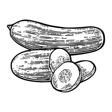 Taze yeşil salatalık - bütün, yarım, dilimleri