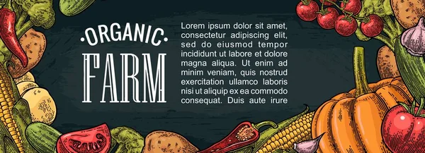 Horizontale Plakate mit Gemüse. — Stockvektor