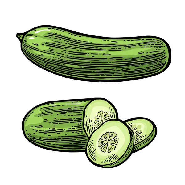 Färska gröna gurkor - hel, halv, skivor — Stock vektor