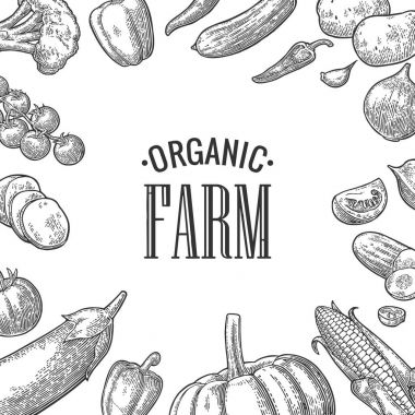 Sebze ve organik tarım yazı ayarlayın. Vektör siyah oyma vintage