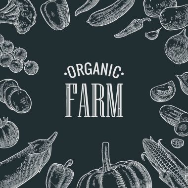 Sebze ve organik tarım yazı ayarlayın. Vektör siyah oyma vintage