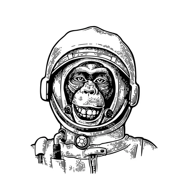 Aap in de helm van de astronaut. Vintage zwarte gravure — Stockvector