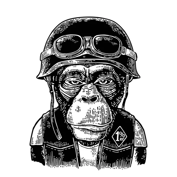 Monkey in the motorcycle helmet and glasses. Vintage black engraving — Stock Vector