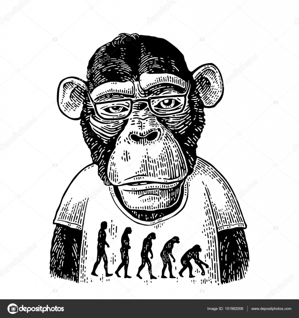 Monkeys in a Tshirt with the theory of evolution on the contrary