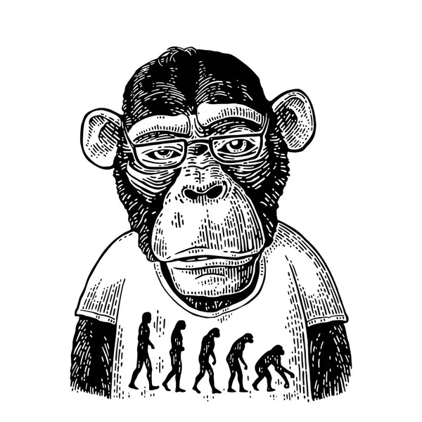 Apen in een T-shirt met de theorie van de evolutie op het tegendeel. — Stockvector