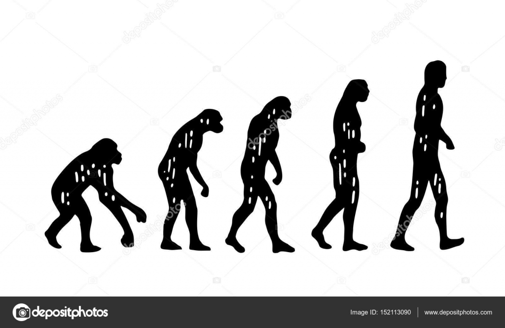 what is evolution theory of man