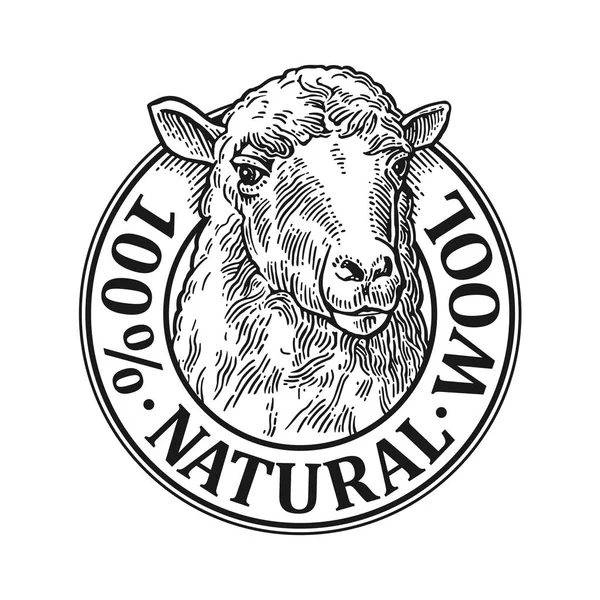 Sheep head. 100 Natural wooll lettering. Vintage vector engraving illustration — Stock Vector