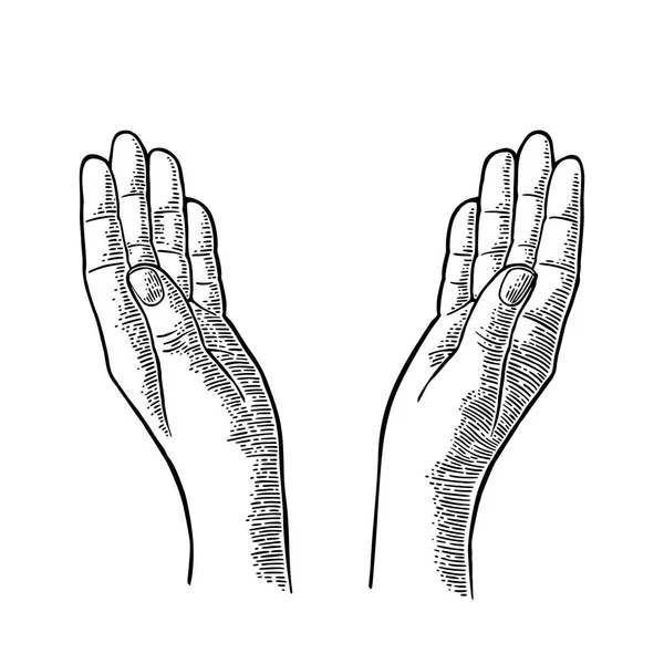 Две молящиеся руки. Векторная чёрная винтажная гравировка — стоковый вектор