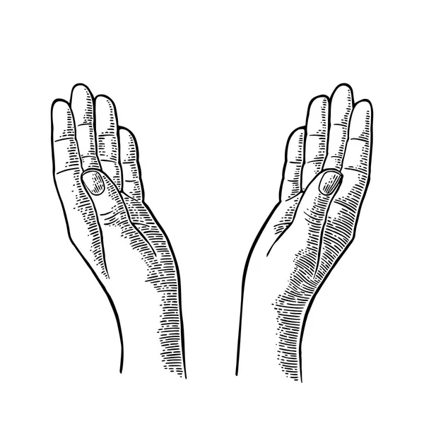 Дві молитовні руки. Векторна чорна вінтажна гравюра — стоковий вектор