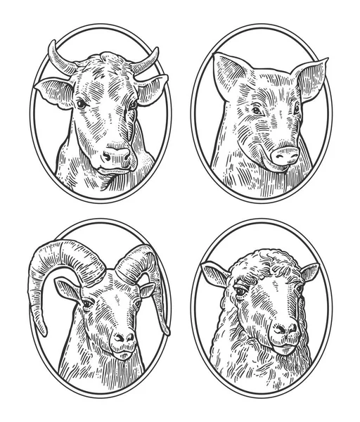 Farm animals icon set. Pig, cow, sheep and goat heads — Stock Vector