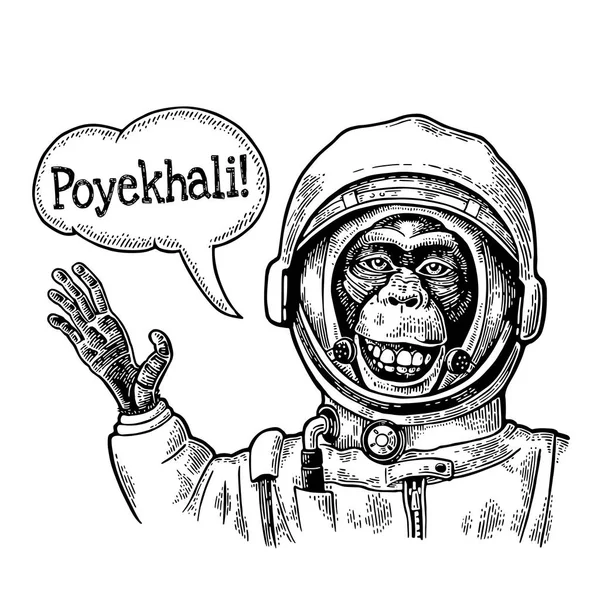 猴子在宇航员适合微笑和挥手他的手。老式黑雕刻 — 图库矢量图片