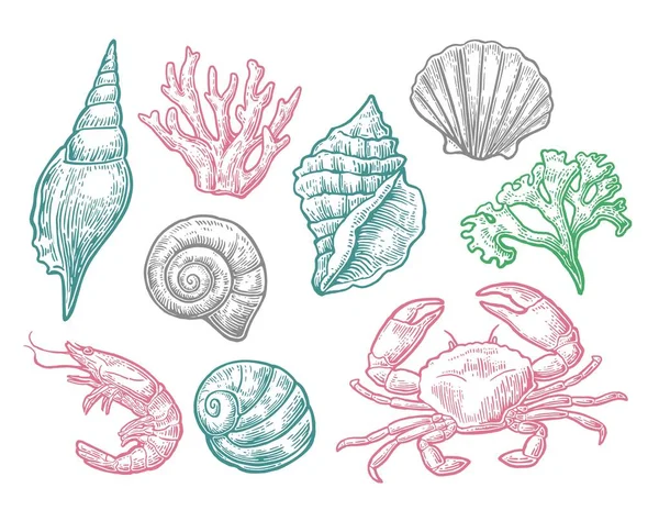 设置海贝壳、 珊瑚、 螃蟹和虾. — 图库矢量图片