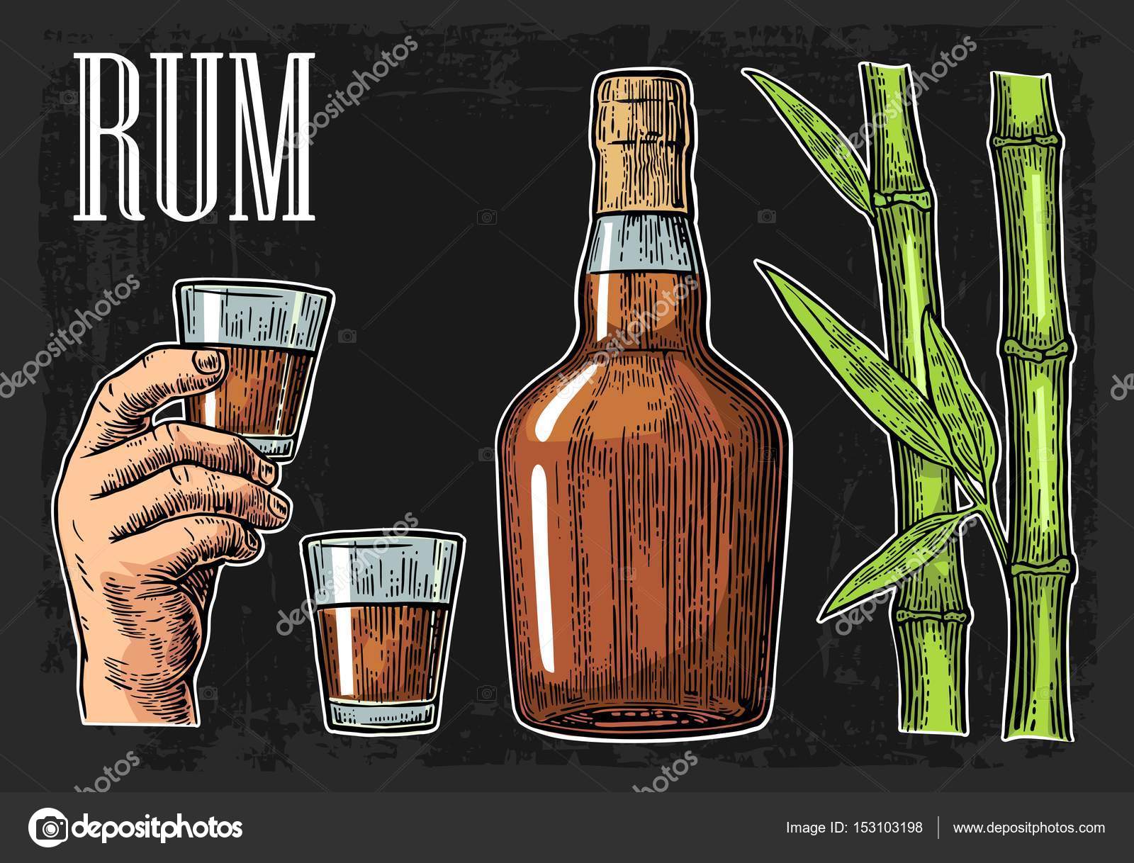 Glass bottle of 10 Cane Rum photographed on a white background Stock Photo  - Alamy
