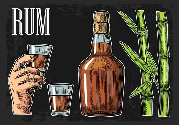 Copo e garrafa de rum com cana de açúcar . —  Vetores de Stock