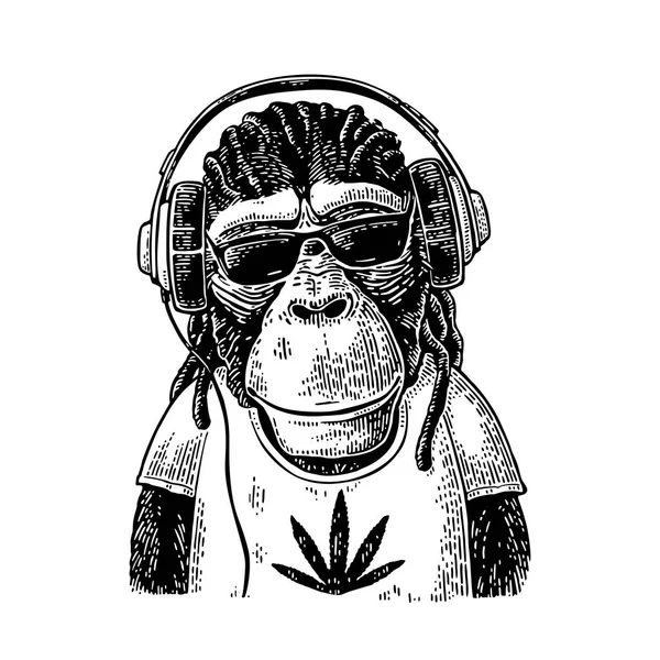 Mono hipster con rastas en auriculares, gafas de sol y camiseta — Vector de stock