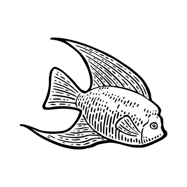 Du poisson. Gravure vectorielle noir illustrations vintage . — Image vectorielle
