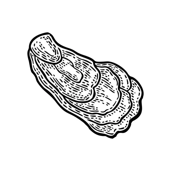 Huître isolée sur fond blanc. Gravure vectorielle noire vintage — Image vectorielle