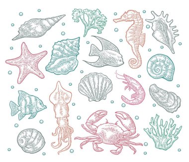 Seamless modeli deniz hayvan.