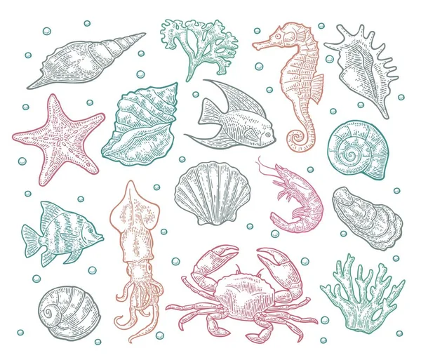 Seamless pattern sea animal. — Stock Vector