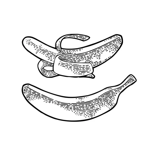 Due banane singole. Incisione vintage disegnata a mano nera vettoriale Illustrazione per menu, web ed etichetta . — Vettoriale Stock